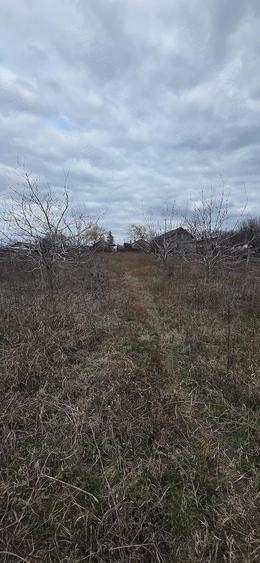 Casa plus teren 2000 mp Rubla, Valea Ramnicului - 2