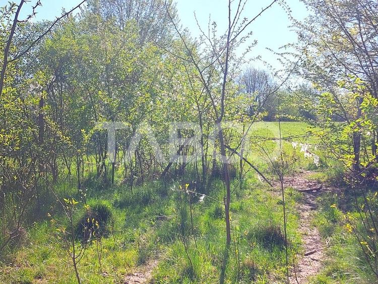 Teren intravilan 4280 mp acces la drum si utilitati zona deosebita - 4