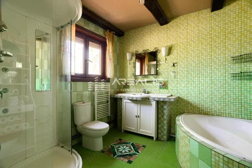 Casa de vis intr-o oaza de lini?te Bodrogu Nou, Arad - 5