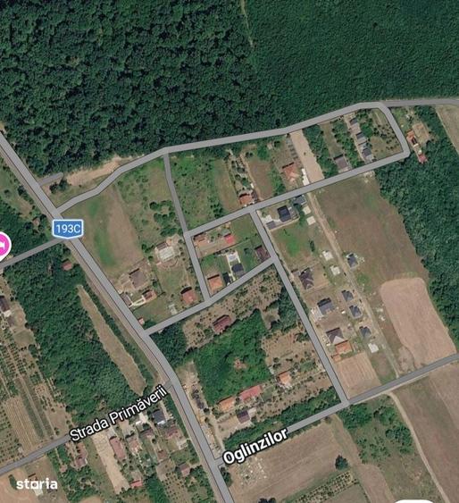 Vand teren intravilan 11,55 Ari in Viile Satu Mare - 1