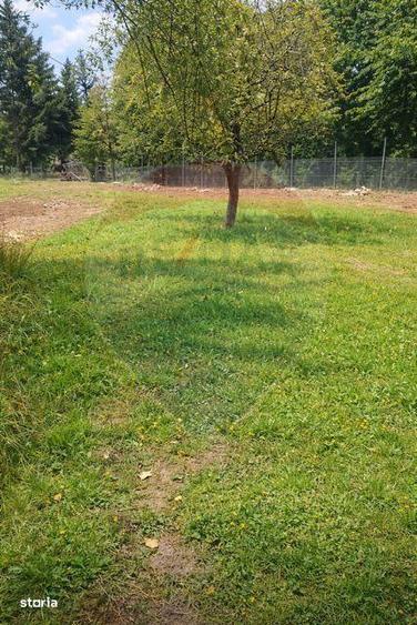 Casa traditionala+teren 9.035mp in Breb,Maramures - 4