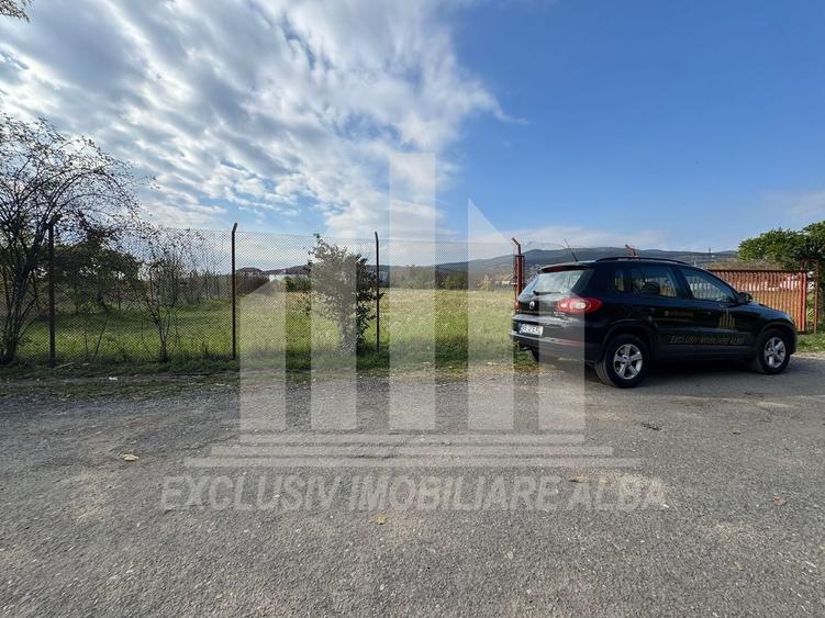 Teren intravilan | De vanzare | 5841 mp | 38 ml deschidere | Cetate - 1