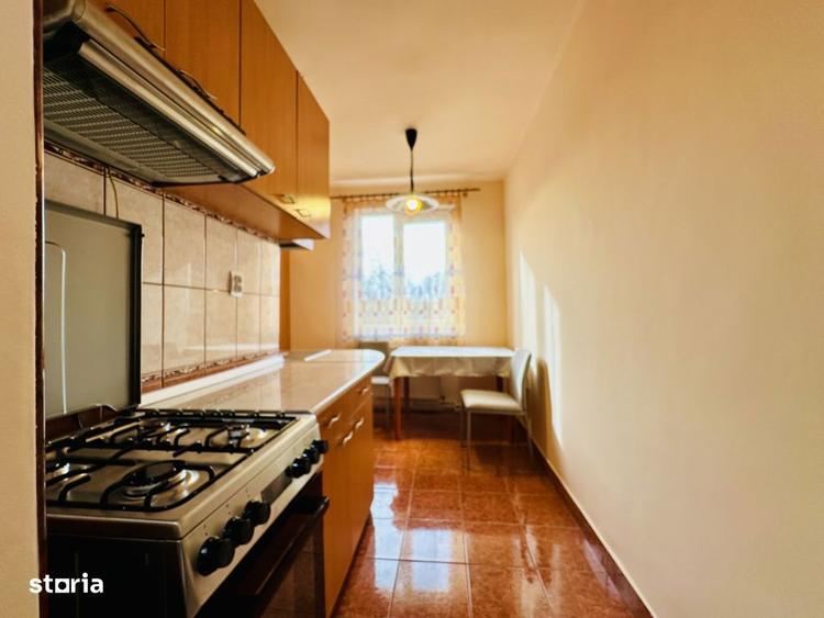 Apartament Primitor & Luminos Central, Str. Horea - 3