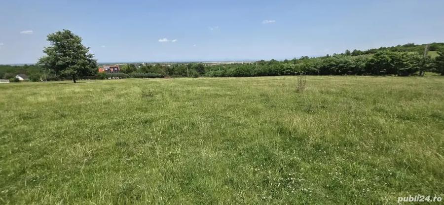 Teren de 1000 mp, în Viile Satu Mare