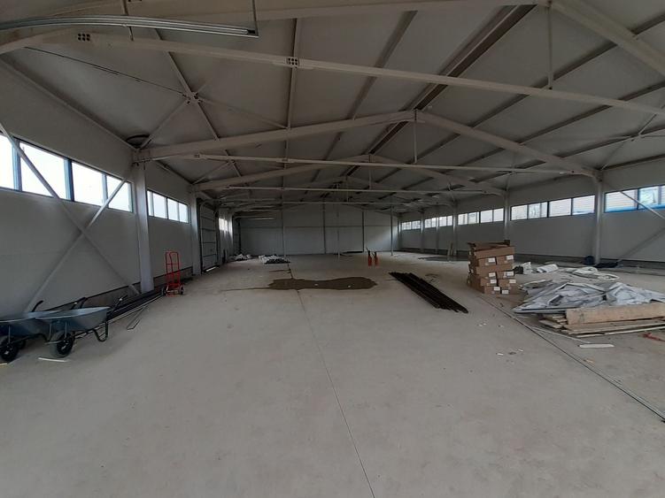 Hale cu suprafete intre 100-560mp in zona Drumul Intre Tarlale - 5