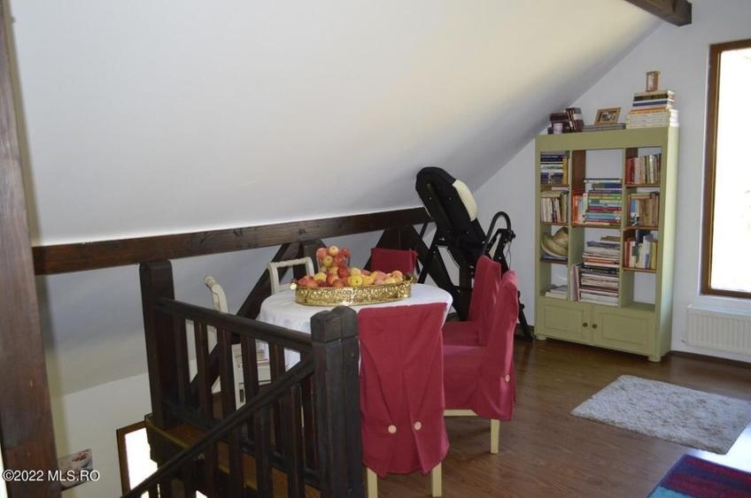 Topoloveni - Conacul Ion Mihalache, Domeniu pe 5 Hectare! - 30