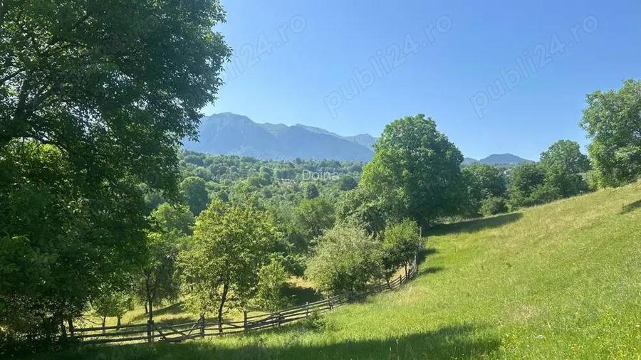 Teren cu vedere catre m-tii Bucegi Teren cu vedere catre m-tii Bucegi