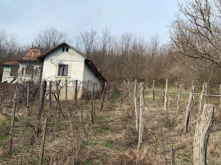 Casa locuibila + teren 1700 mp, anexe, drum asfaltat Melini?ti, Dolj - 7
