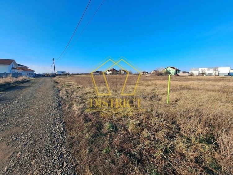 4 parcele de 701-756mp, casa individuala | Utilitati | Dumbravita - 3