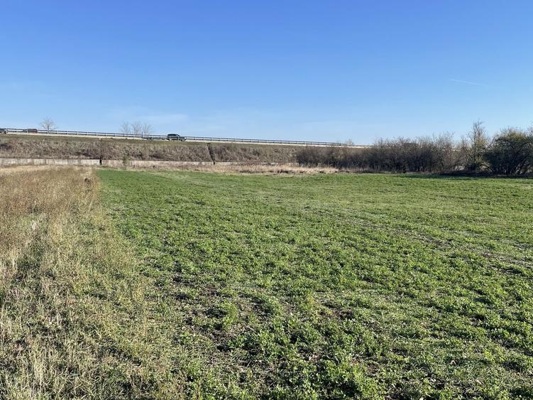 Teren 4316 mp Giarmata Vii-zona mica industrie, depozitare si servicii - 4