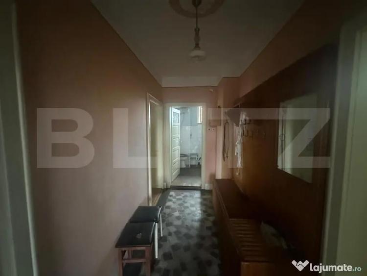 Casa cu teren generos de 6000 mp in Viile Satu Mare zo - 4