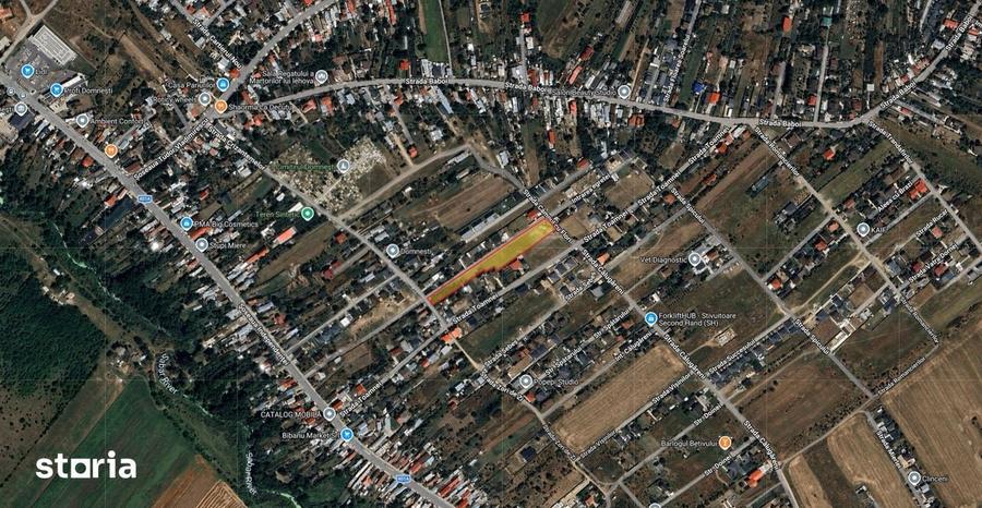 DOMNESTI - 5,200 M2- Strada Campul cu Flori - 3