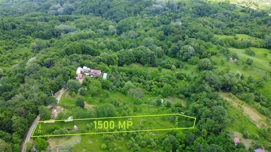 DEALUL MALULUI, TEREN 1500 MP INCONJURAT DE PADURE - 2