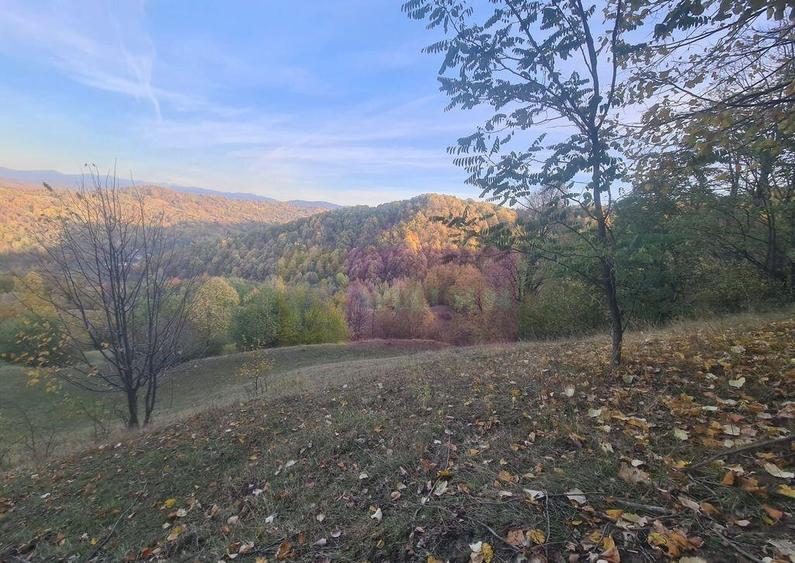 Teren intravilan de vanzare in Telega - 14