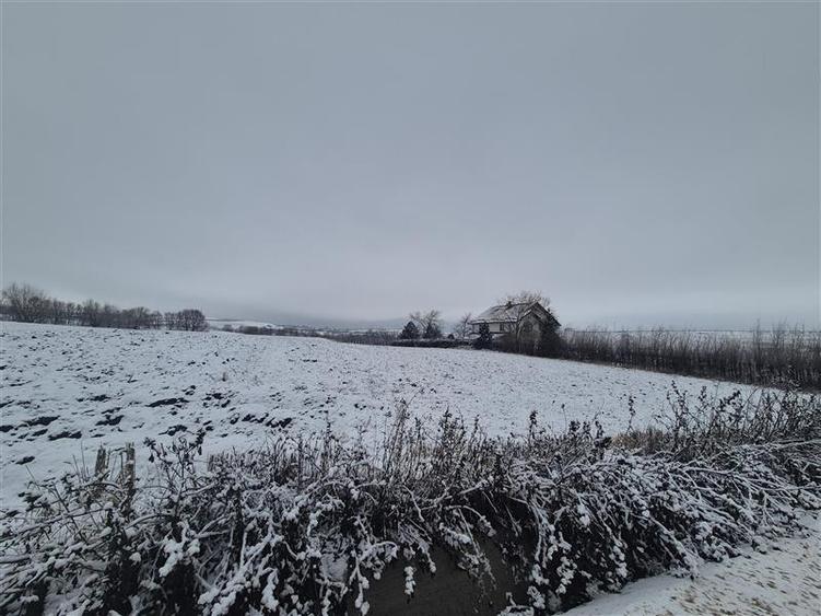 Teren intravilan Moara Bulai 51 ari - 2