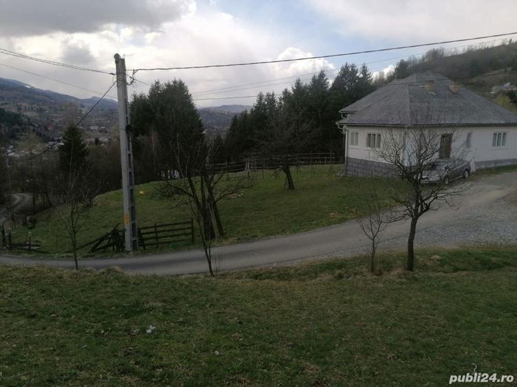 Casa si teren, Moisei - 3