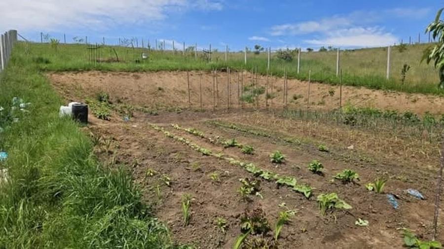 Vand 9 ari teren intravilan, Sancraiu de Mures, aproape de padure - 3