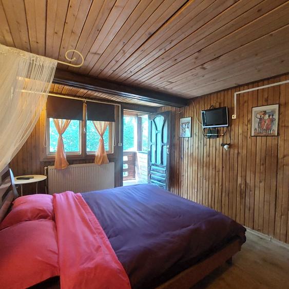 Casa de vacanta (Pensiune) in Lepsa - 11