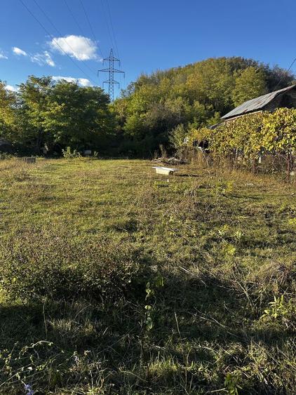 Vand teren, intravilan 800 mp - 7