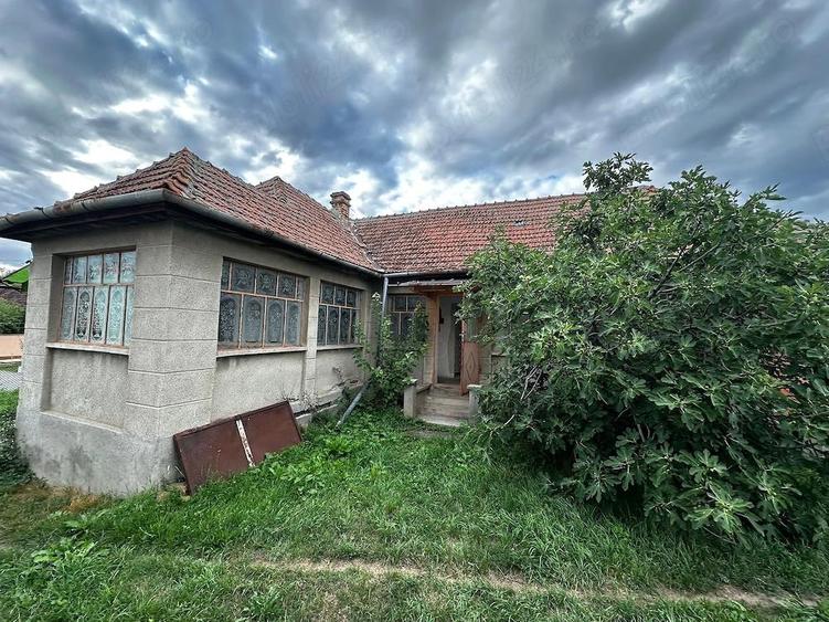 Casa cu teren generos de vanzare in Ianova (Remetea Mare) 129 mp + 1078 mp - 9