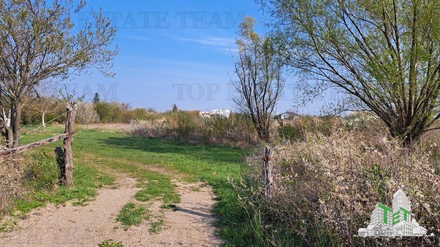 Teren 1171mp la intrare in Palanca langa Raul Sabar - 7