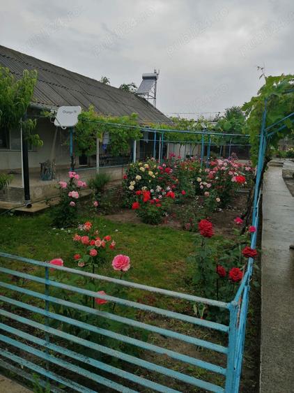 Casa la tara cu gradina - 10