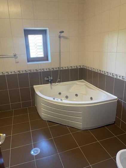 Vila individuala 7 camere de vanzare/inchiriere Iancu Nicolae - 19