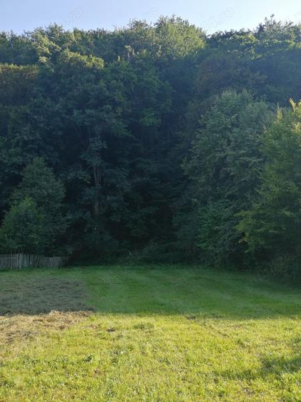 Vand casa ?i teren 2500 mp la munte in Valea Uzului. - 6