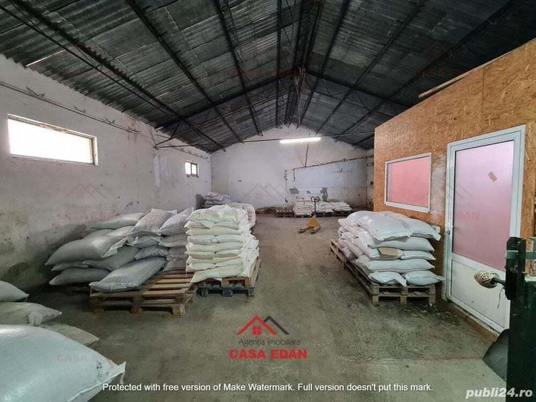 Hala in Campina--280 mp--800e - 3