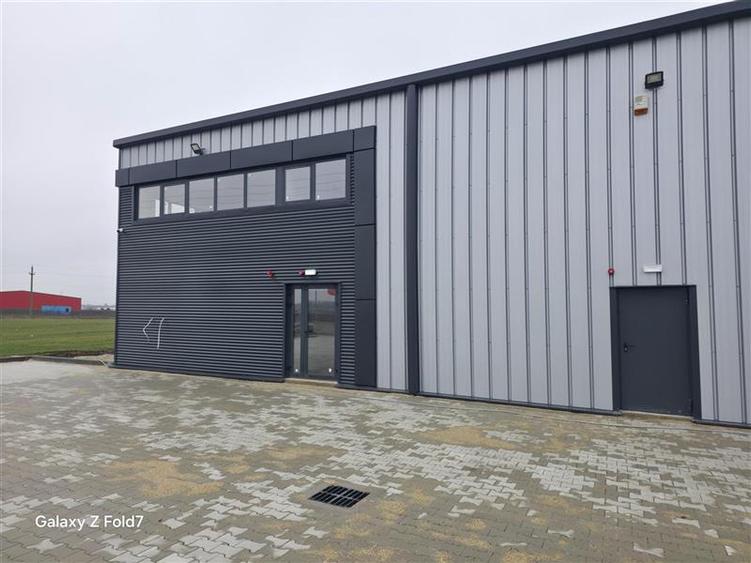 Vanzare depozit/hala/spatiu industrial Mogosoaia - Buftea - 4