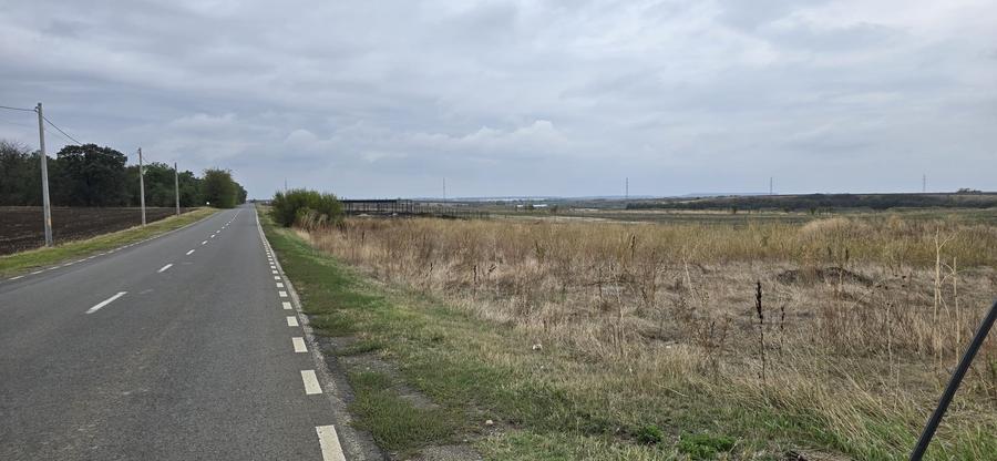 Teren Branesti deschidere la drum asfaltat ideal mica dezvoltare imobiliara. - 1