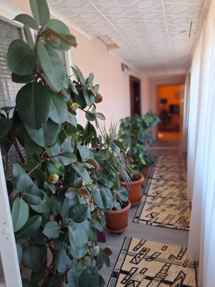 Casa in Smardan cu centrala termica si  utilitati la pret de apartament - 3