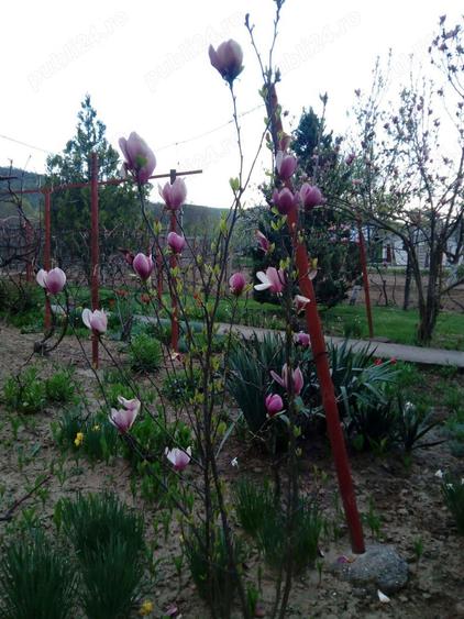 Casa de vanzare in Baiculesti,judetul Arges - 9