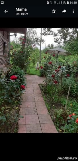 Casa de vanzare in comuna Rosia de Amaradia jud Gorj - 1