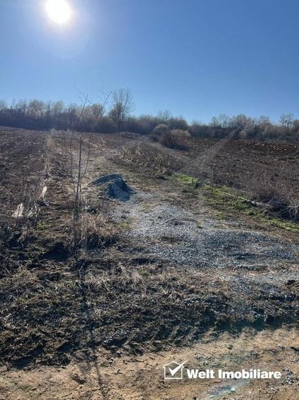 Teren extravilan cu gradina in Saliste - 4