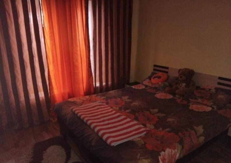 Proprietate cu 2 cladiri in Chisineu Cris - ID : RH-41243-property - 16