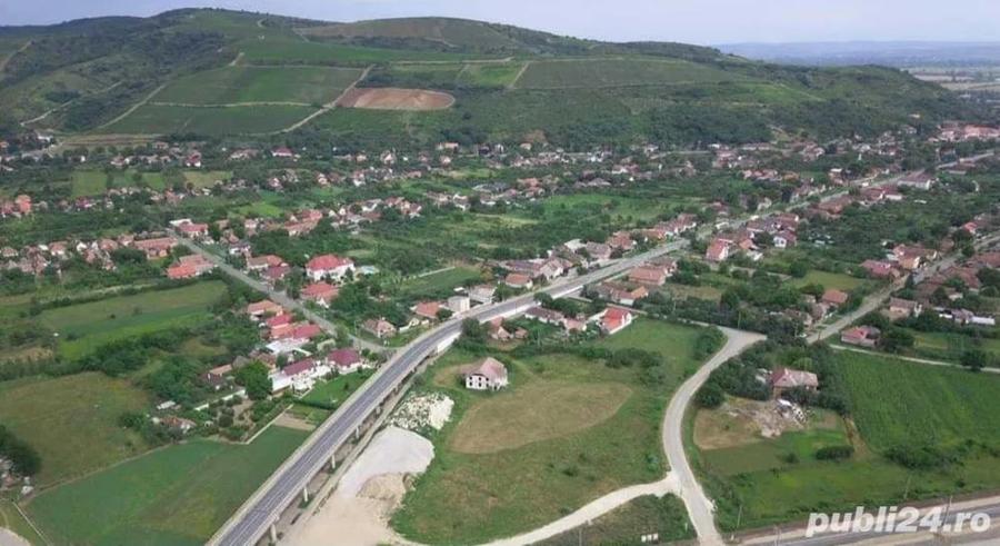 Vand Casa cu 2151 m2 in Paulis - 6