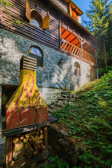 Pensiune, casa de vacanta, 6 camere, statiunea Rausor din Hunedoara - 13