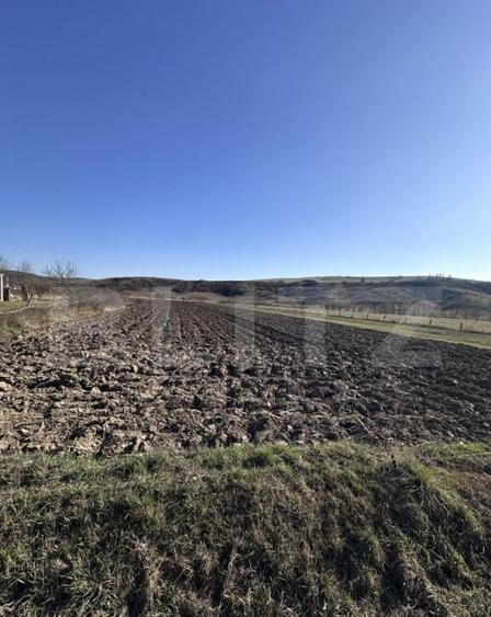 Teren intravilan 5.800 mp, poten?ial de parcelare-construc? - 2