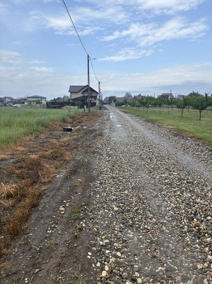 Vand Teren Bradu - 1