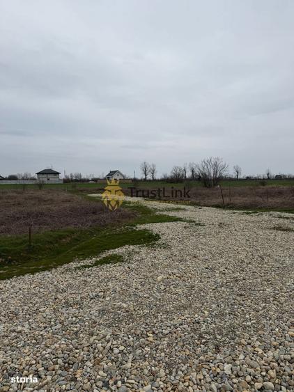 Teren intravilan de vanzare Berceni Vidra | 500650 mp | curent la lot - 3