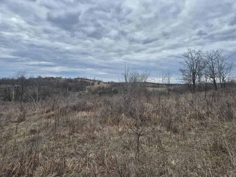 Vand teren Intrare spre Iabalcea - 8