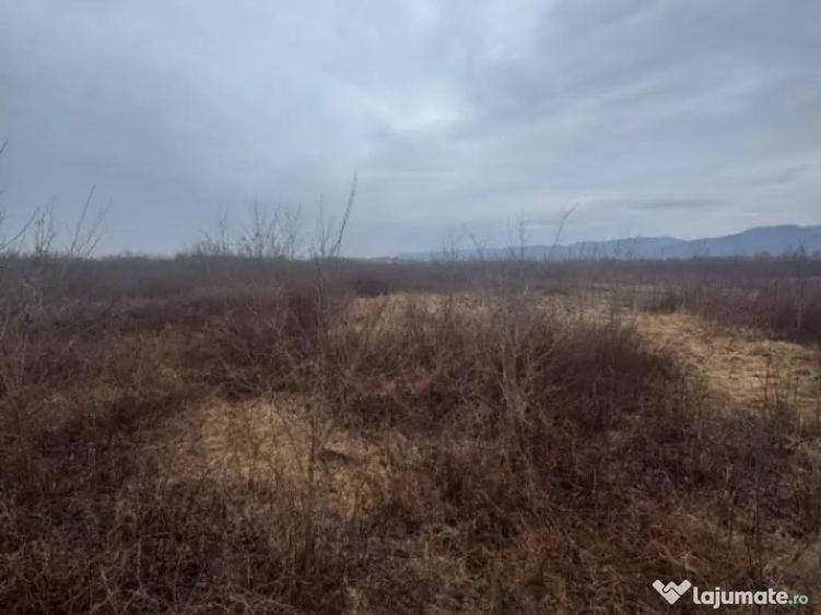 Teren extravilan Bu?ag 82 ari, plan drept, langa Lapu?, - 1
