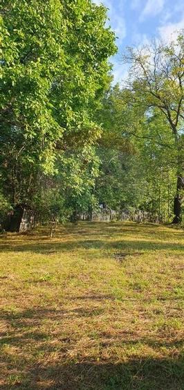 Teren 4,972mp Bertea / Strada Matraguni - 8