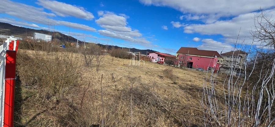 Teren intravilan, 4019 Mp, Sighisoara - 5