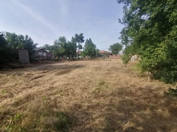 Vlad Tepes sat, jud.Giurgiu - 2