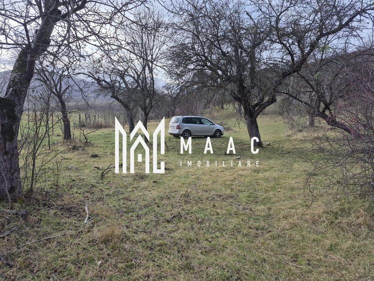 Teren de vanzare | Orlat | Extravilan - 4