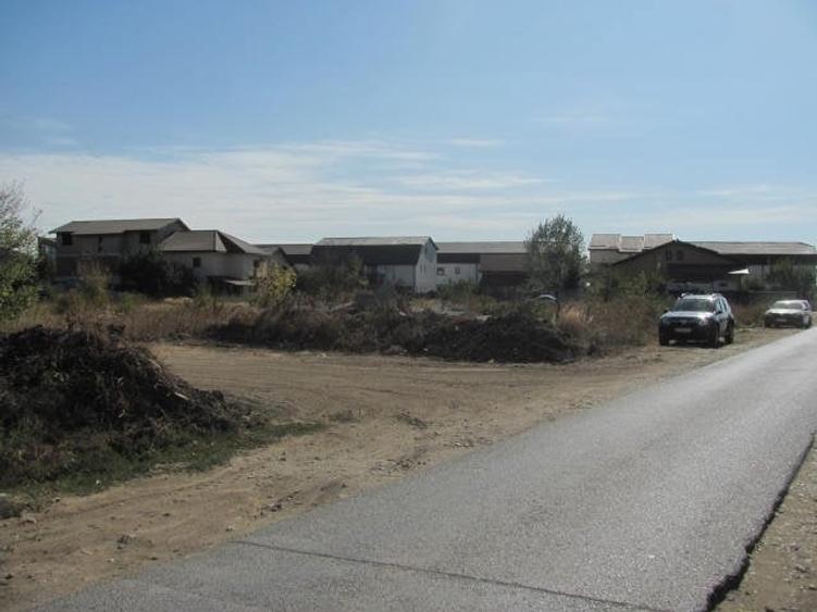 prelungirea Ghencea Iernii - 5