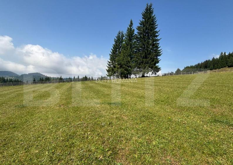 Vanzare teren intravilan de 2 hectare, in Pasul Tihu?a
