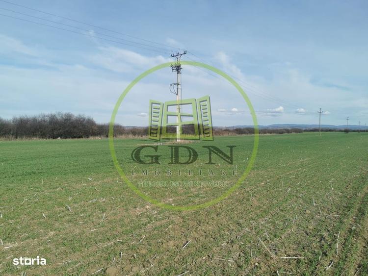 Teren extravilan de vanzare in Sacadat, 21.496 mp, cu deschidere de 42 - 2